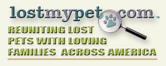 Lost My Pet - Reuniting lost pets with loving families.